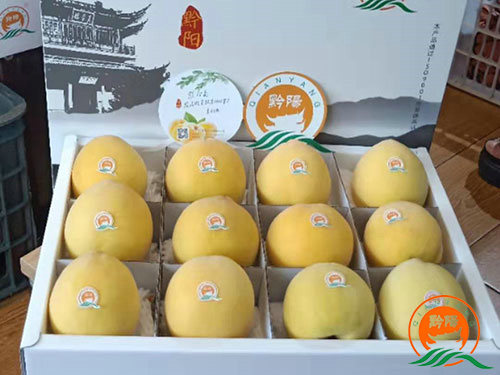 黔陽(yáng)黃桃 黔陽(yáng)黃桃