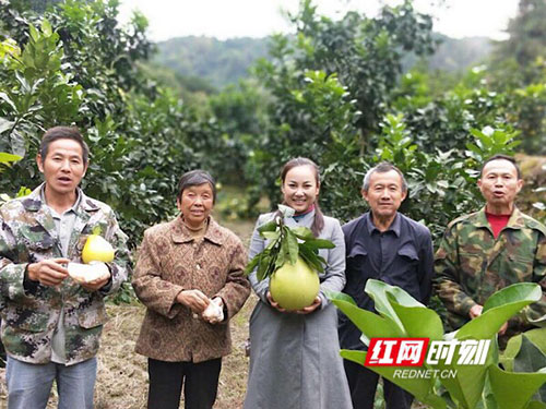 洪江市禹甜科技有限公司,農(nóng)產(chǎn)品的批發(fā)零售 洪江市禹甜科技有限公司,農(nóng)產(chǎn)品的批發(fā)零售